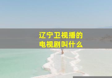 辽宁卫视播的电视剧叫什么