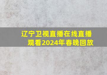 辽宁卫视直播在线直播观看2024年春晚回放