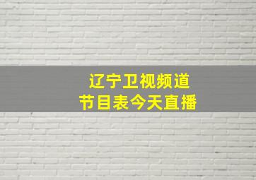 辽宁卫视频道节目表今天直播