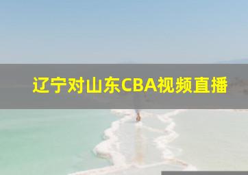 辽宁对山东CBA视频直播