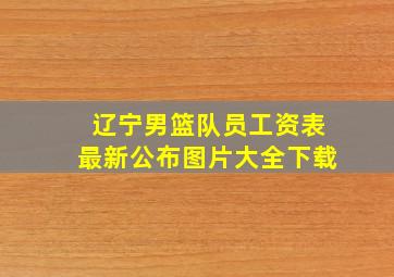 辽宁男篮队员工资表最新公布图片大全下载