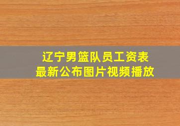 辽宁男篮队员工资表最新公布图片视频播放