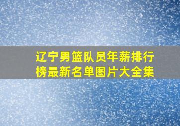 辽宁男篮队员年薪排行榜最新名单图片大全集