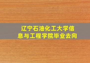 辽宁石油化工大学信息与工程学院毕业去向