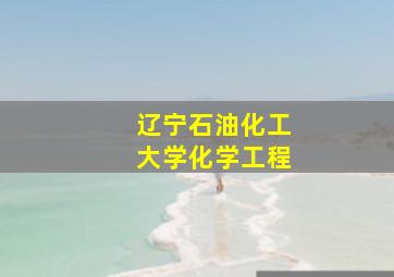 辽宁石油化工大学化学工程