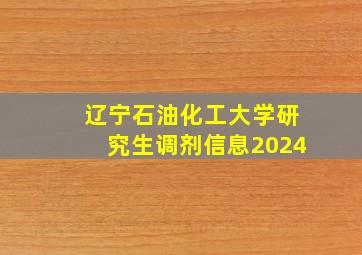 辽宁石油化工大学研究生调剂信息2024