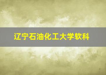 辽宁石油化工大学软科