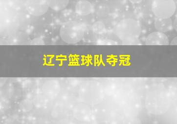 辽宁篮球队夺冠