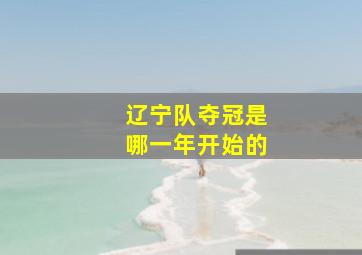 辽宁队夺冠是哪一年开始的