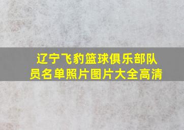 辽宁飞豹篮球俱乐部队员名单照片图片大全高清