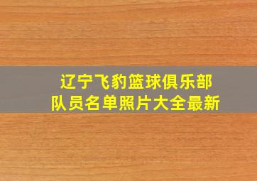 辽宁飞豹篮球俱乐部队员名单照片大全最新