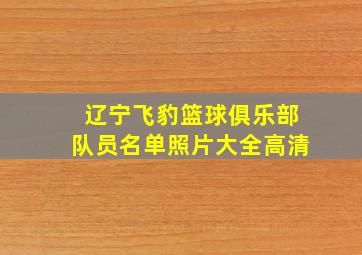 辽宁飞豹篮球俱乐部队员名单照片大全高清