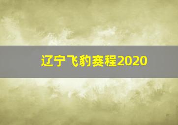 辽宁飞豹赛程2020