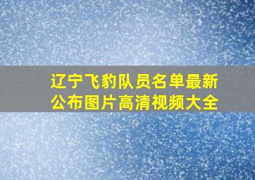 辽宁飞豹队员名单最新公布图片高清视频大全