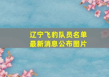 辽宁飞豹队员名单最新消息公布图片