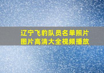 辽宁飞豹队员名单照片图片高清大全视频播放