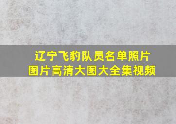 辽宁飞豹队员名单照片图片高清大图大全集视频