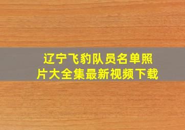 辽宁飞豹队员名单照片大全集最新视频下载