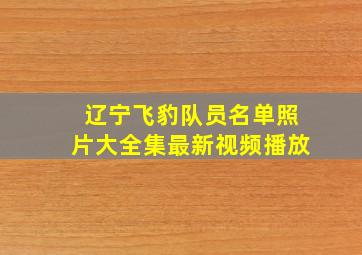 辽宁飞豹队员名单照片大全集最新视频播放