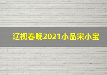 辽视春晚2021小品宋小宝