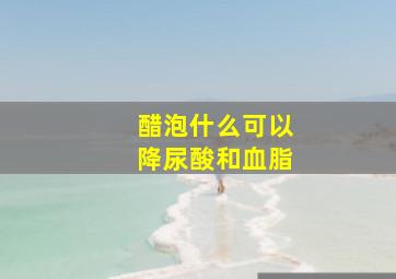 醋泡什么可以降尿酸和血脂