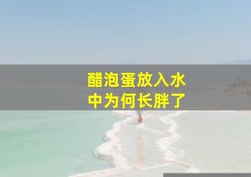 醋泡蛋放入水中为何长胖了