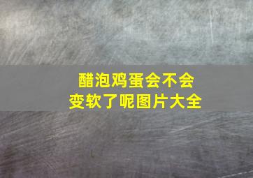 醋泡鸡蛋会不会变软了呢图片大全