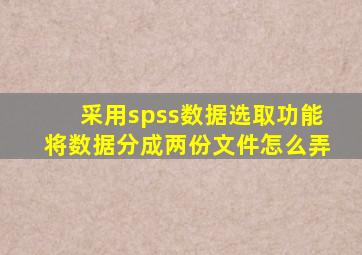 采用spss数据选取功能将数据分成两份文件怎么弄