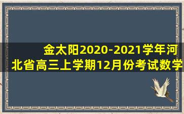 金太阳2020-2021学年河北省高三上学期12月份考试数学