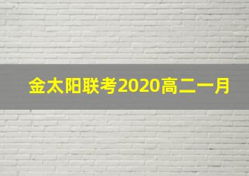 金太阳联考2020高二一月