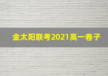 金太阳联考2021高一卷子