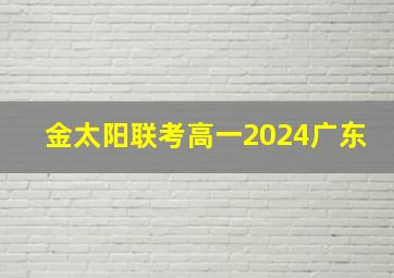 金太阳联考高一2024广东