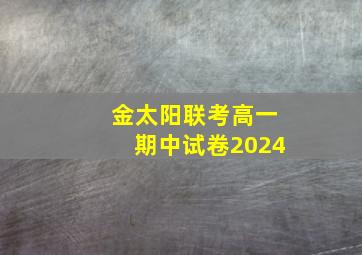 金太阳联考高一期中试卷2024