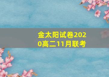 金太阳试卷2020高二11月联考