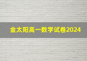 金太阳高一数学试卷2024