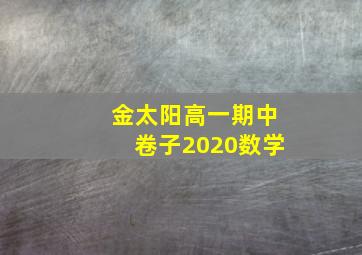 金太阳高一期中卷子2020数学