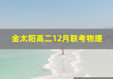 金太阳高二12月联考物理