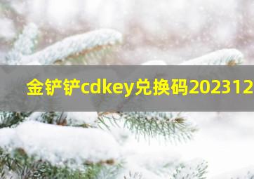 金铲铲cdkey兑换码202312月