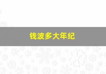 钱波多大年纪