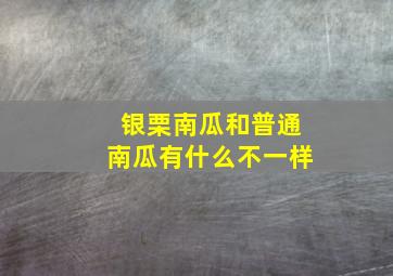 银栗南瓜和普通南瓜有什么不一样