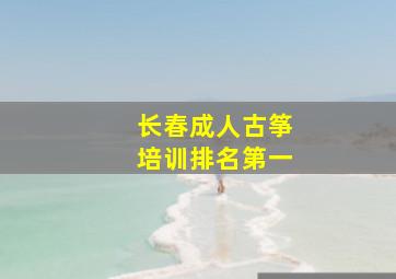 长春成人古筝培训排名第一