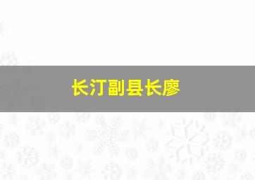 长汀副县长廖