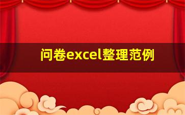 问卷excel整理范例