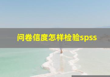 问卷信度怎样检验spss