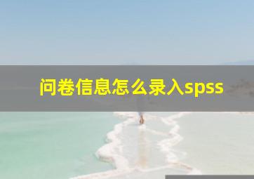 问卷信息怎么录入spss