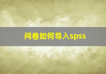 问卷如何导入spss