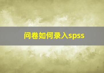 问卷如何录入spss