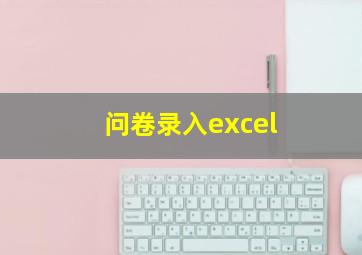 问卷录入excel