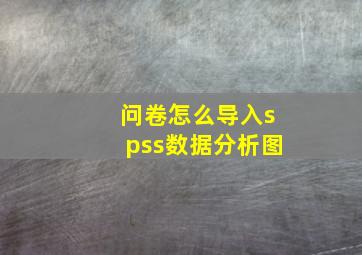 问卷怎么导入spss数据分析图