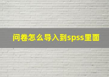 问卷怎么导入到spss里面